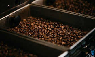 GRIND & BREW COFFEE MAKERS
