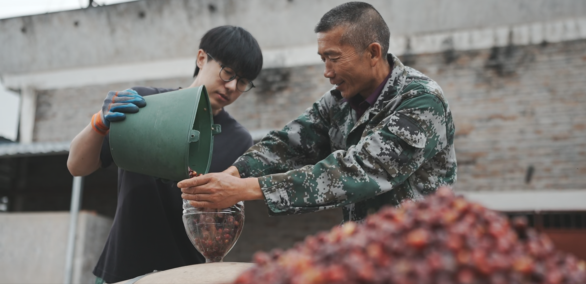 Yunnan Triple Fermentation Micro-Lot - Anaerobic