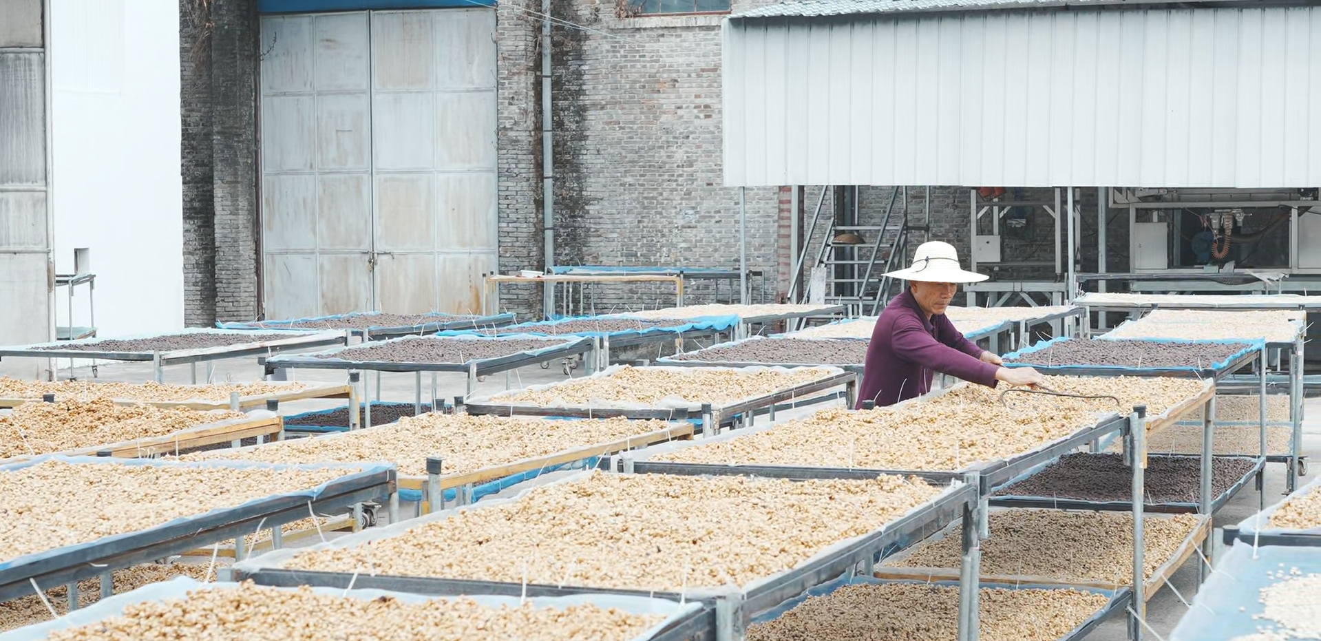YUNNAN - MOON BEAR - Micro-lot -  HONEY PROCESS