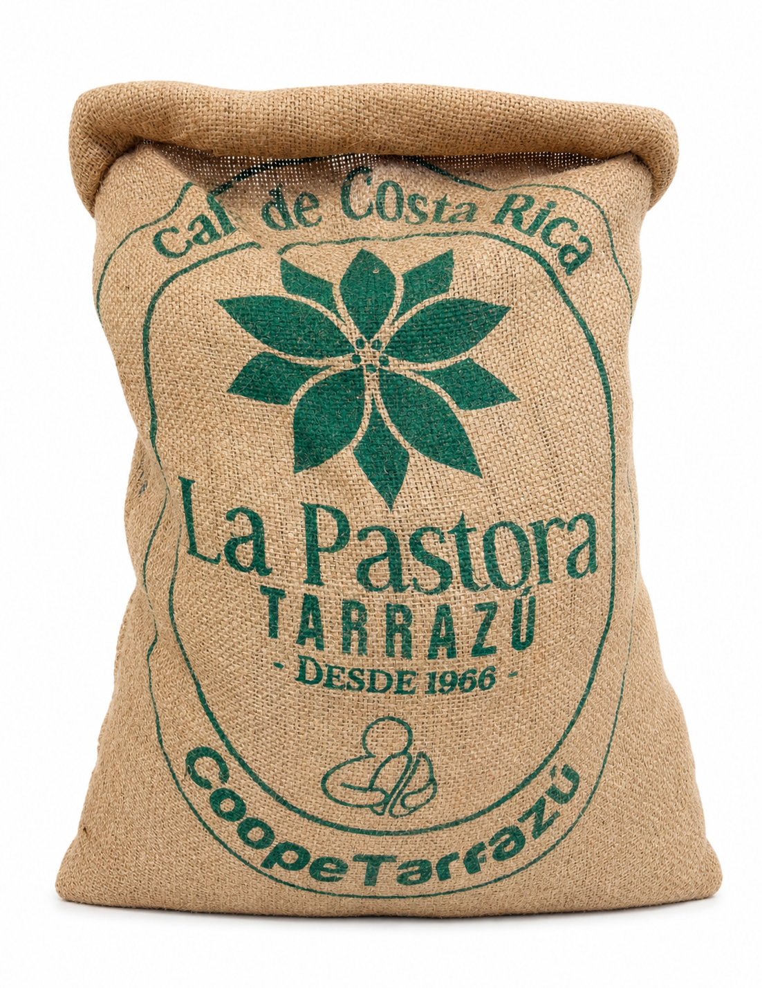 Costa Rica Tarrazu la Pastora
