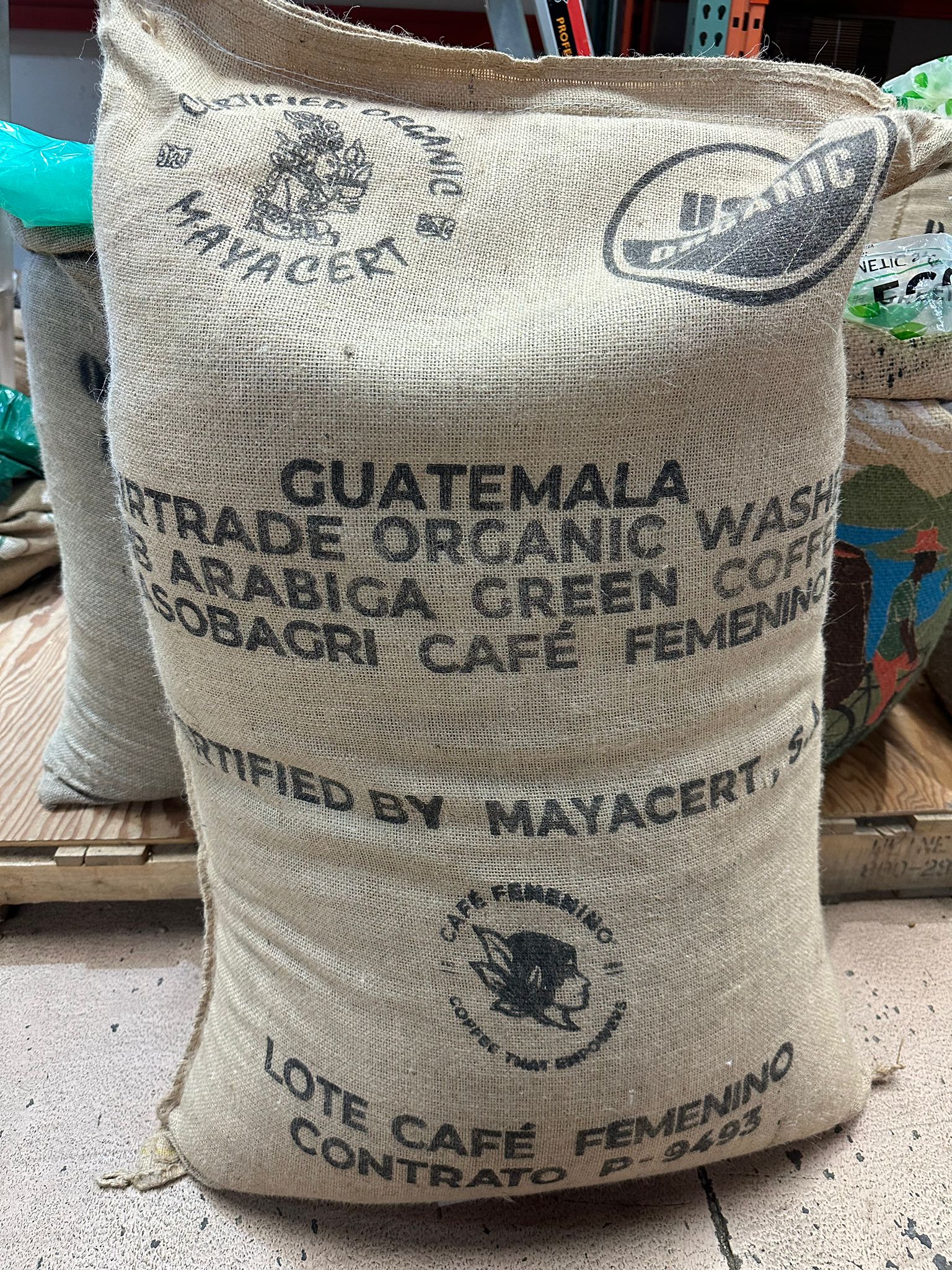 Guatemala Nahuala O FT SG FEM