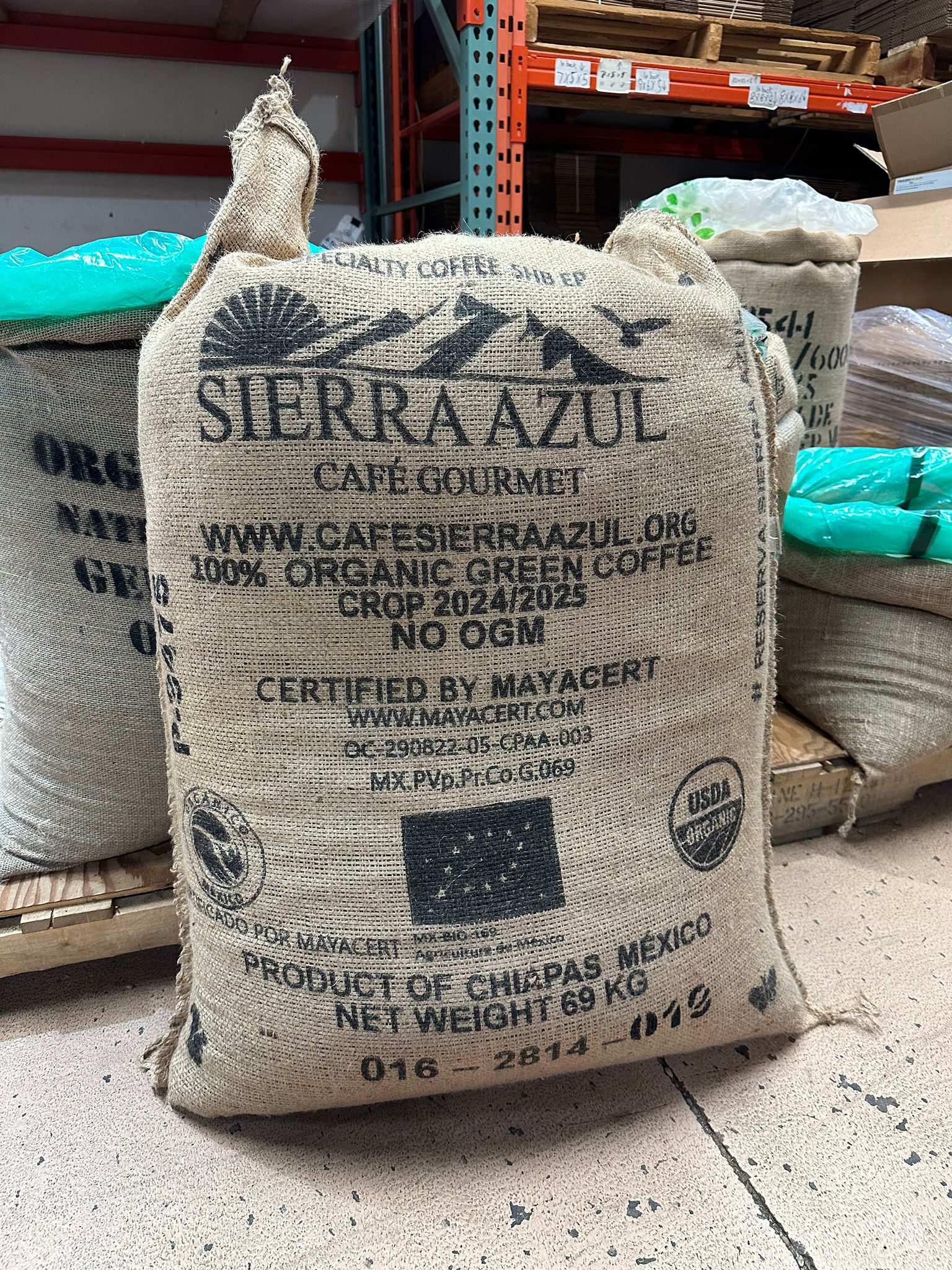 Mexico Chiapas El Triunfo Biosphere O FT SG FEM