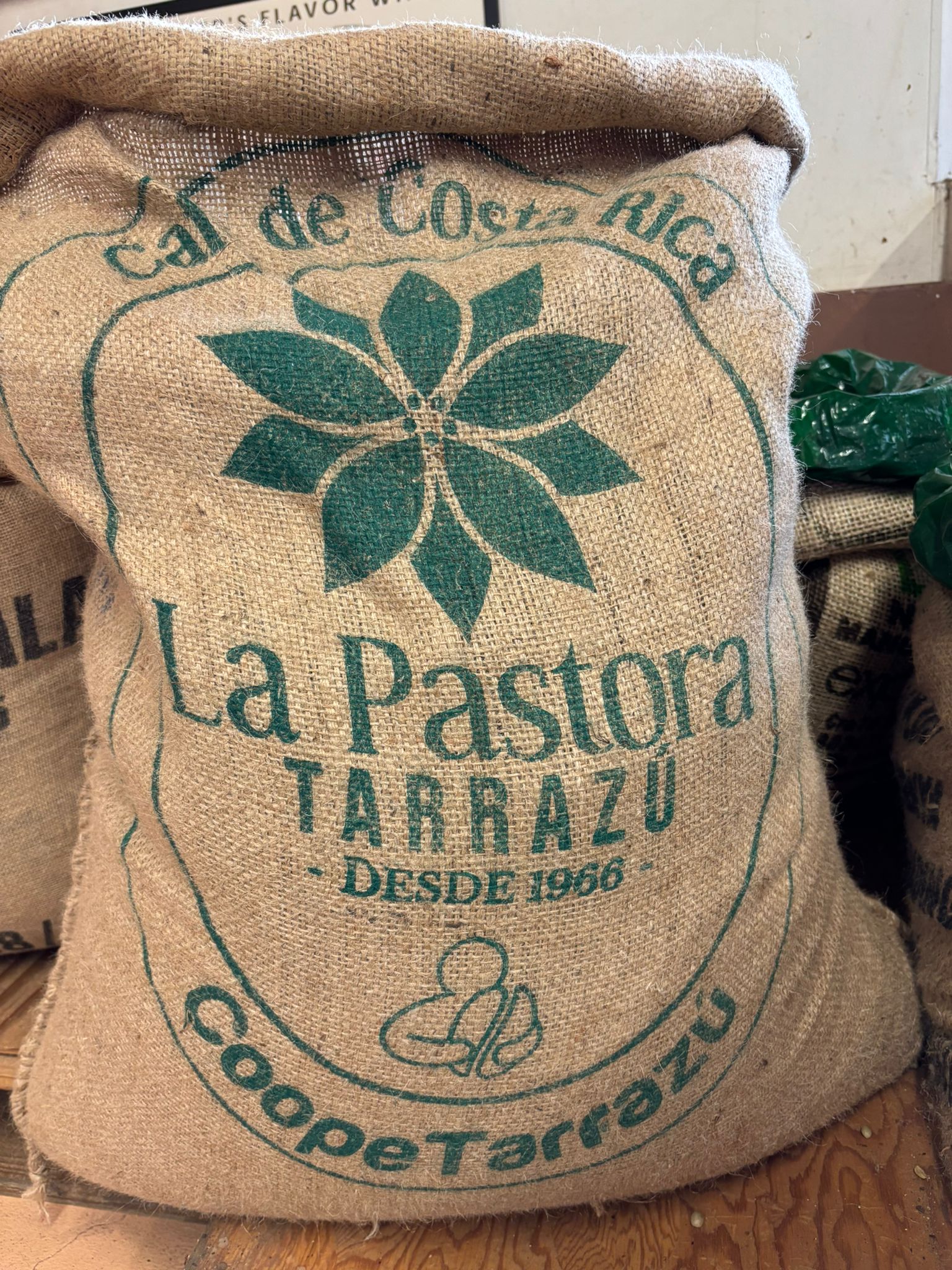 Costa Rica Tarrazu la Pastora
