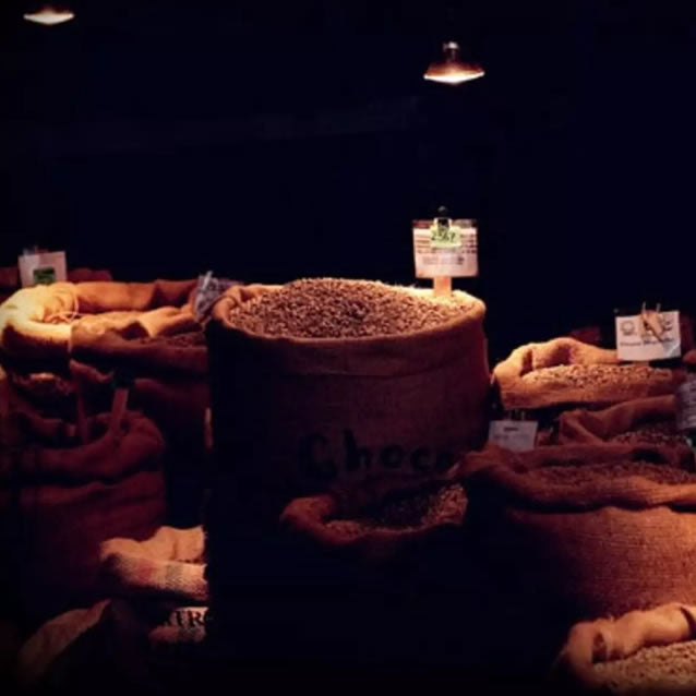 Brazil Bourbon Santos SWP decaf