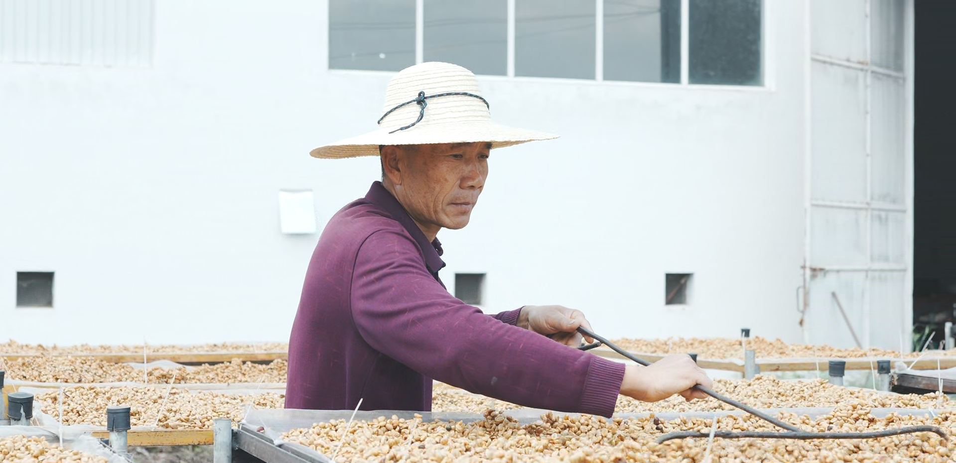 Yunnan Triple Fermentation Micro-Lot - Anaerobic