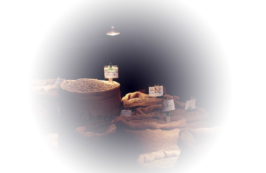 Ethiopia Yirgacheffe Konga Organic